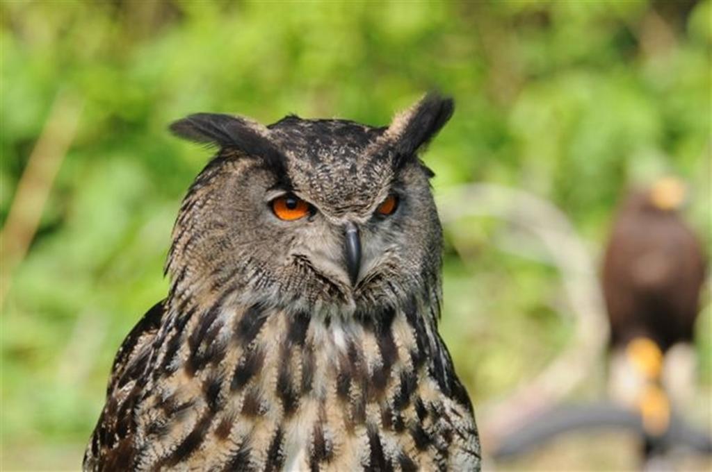 Buitengoed De Panoven Zevenaar Dış mekan fotoğraf